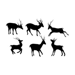 Deer icon design template vector isolated