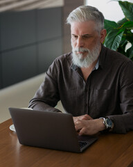 an incredibly beautiful and stylish gray-haired man of fifty years old working with a laptop, a European business man is a director or a top manager in an office or in a VIP airport waiting room, a