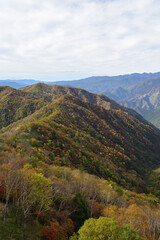 View of mountain covered with red and yellow leaves