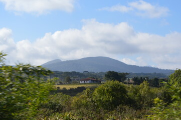 landscape with trees and clouds