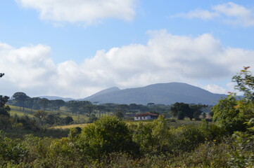 landscape with trees and clouds