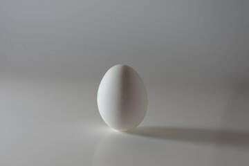 Isolated fresh white egg standing on a grey background. Natural ecological product