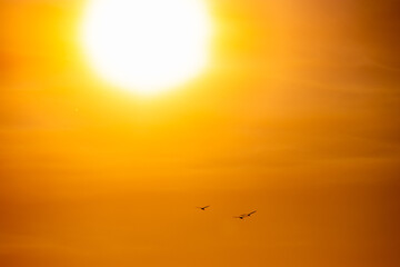 Por do sol