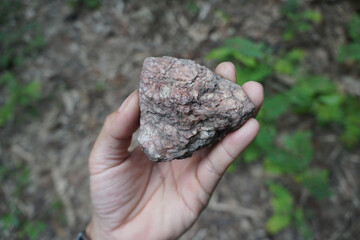 Hand holding a raw white quartz rock stone. Quartz grows in primarily in pegmatites.