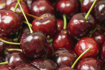 Red fresh juice cherry. Close up. Fresh berries. Food industry. Produce product
