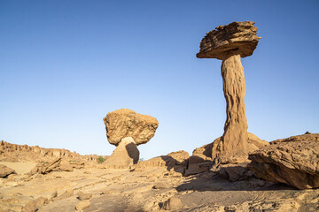 Giant petrified prehistoric Mushrooms, Chad, Africa