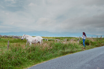 White horse in a field and teenager girl