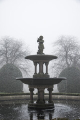 English park in the fog and mist, gloomy and broody mood, contemplate and melancholy, goth feel.
