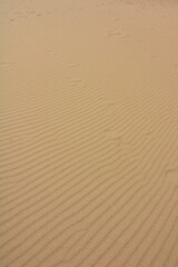Abstract story background of wavy sand dunes. Pattern on the sands.