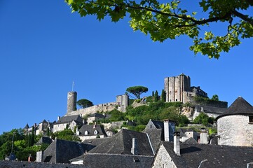 Fototapeta premium Hill top castle dominating the roofs of a village