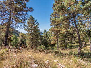 Paysage de montagne dans le Sud des Alpes et du Mercantour