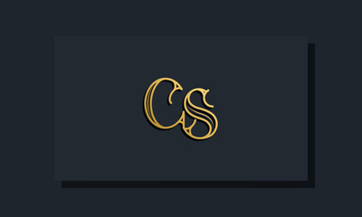 Minimal Inline style Initial CS logo.
