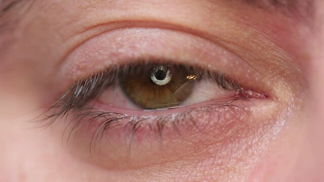Different kind of eyes winking, looking at camera in one video footage. Macro shot and fast time lapse .	
