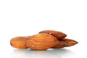 Fragrant roasted almonds, close-up, isolated on white.