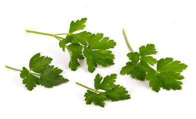 green leaves of parsley isolated on white background