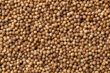 Dried coriander seed close up full frame as background 