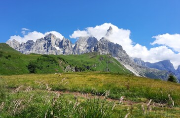 alpine meadow and mountains