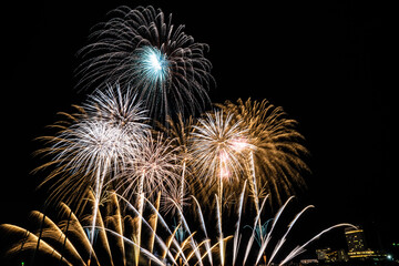 fireworks in the sky