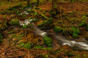 Skrivan color creek in Krusne mountains in spring morning with sun after rain
