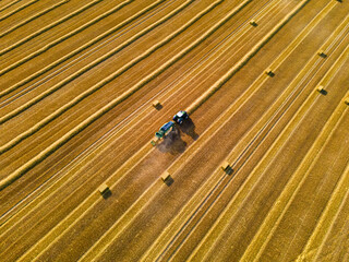 Hardworking in the field