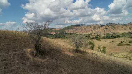 Fototapeta premium drought is a problem that is affecting the entire world, in Brazil it is no different. in the interior of Rio de Janeiro, vegetation and climate have changed a lot for some time now. everything is dry