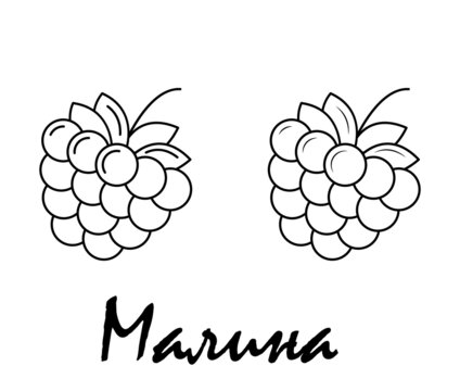 Badge raspberry with the inscription "raspberry" in Russian. Vector, eps