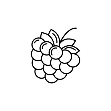 Badge  raspberry. Vector image, eps