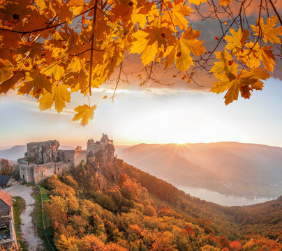 Aggstein castle with autumn forest during a colorful sunset in Wachau, Austria