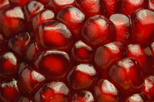 Close up of pomegranate fruit