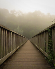 wooden bridge over river on a foggy morning