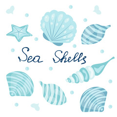 Postcard with seashells and handwritten inscription seashells - vector illustration, eps