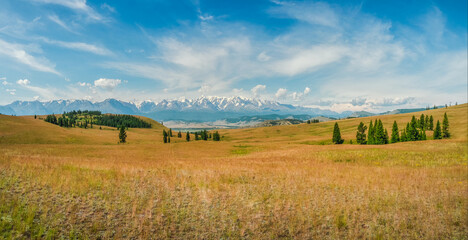 Atmospheric autumn mountain landscape. A wide panoramic landscape with the edge of a coniferous forest and mountains in a light fog. Altai Mountains.