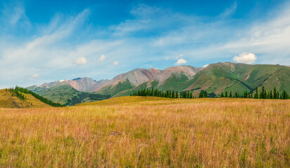 Atmospheric autumn mountain landscape. Wide panoramic landscape with the edge of a coniferous...