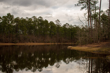 lake in the forest