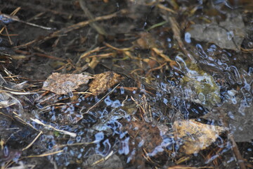stream