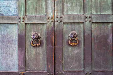 Closeup of two massive bronze and copper doors with green tint, knockers in shape of lions.