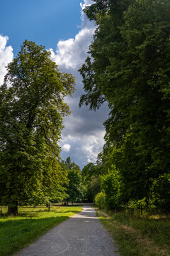 Vertical summer perspective view of walkway with trees and sky in Djurgarden national park in Stockholm.