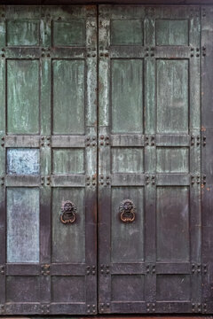 Vertical front view of two massive bronze and copper doors with green tint, knockers in shape of lions.