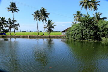 Obraz premium Kerala Backwater river, lakes lagoons