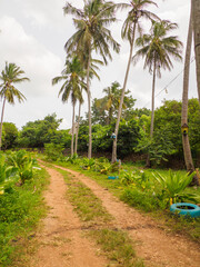 Obraz premium zanzibar