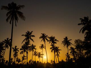 Obraz premium zanzibar