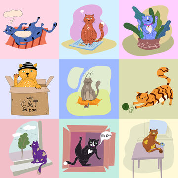 Set of red, black, spoted cats. Play with a ball of wool, eating from bowl, sitting on the table and in the cardboard box, looking at window Stickers illustration vector