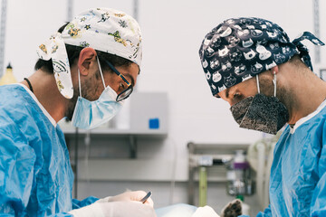 Veterinarians conducting surgery in operating room