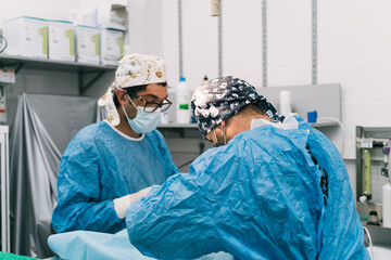 Veterinarians conducting surgery in operating room