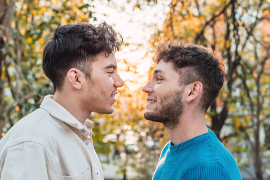 Loving gay couple standing face to face in park
