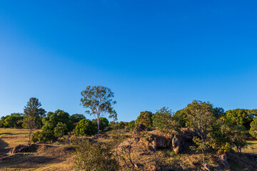 Paisagem com pedras, árvores e céu azul.