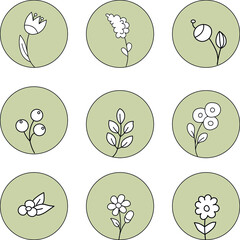 Set of botanical line art floral leaves, plants. Icons flowers, leaves and berries in circle