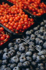 berries in trays on the market