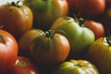 Fresh tomatoes close up