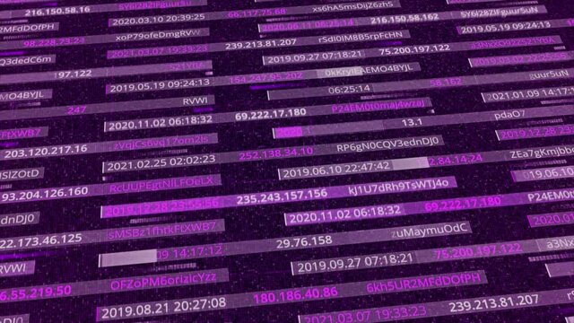 Purple moving stripes as the visualization of data transfer, technological background. Animation. Different changing coordinates and symbols, seamless loop.